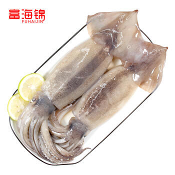 富海锦鲜冻整只大鱿鱼1.48斤2-3条 火锅烧烤食材 轰炸大鱿鱼 软足 送礼 商品图2