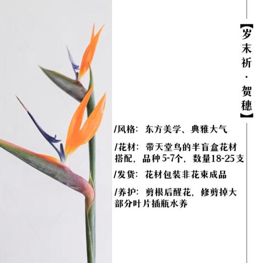 岁末祁•贺穗 商品图0