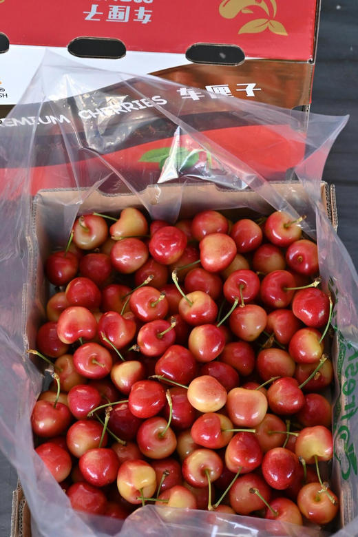 斯凯拉雷金车，真正的嘎嘣脆，浓郁 商品图4