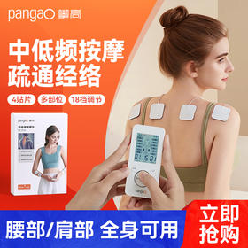 攀高中频按摩仪双通道PG-2616(充电款）电疗仪脉冲颈椎腰部按摩仪