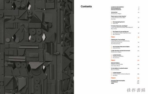 The World Outside: Louise Nevelson at Midcentury / 外部世界：路易丝·内维尔森的20世纪中期作品 商品图1