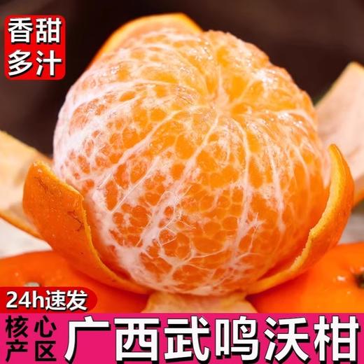 【宜昌助农馆】清甜皮薄沃柑  新鲜时令蔬果中大果 年货柑橘 商品图0