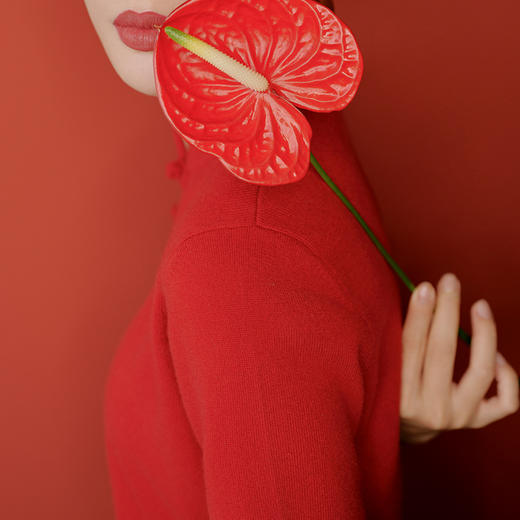 东黎 • 山羊绒 女士秋冬 新中式气质中国风红色短袖 3548 商品图4