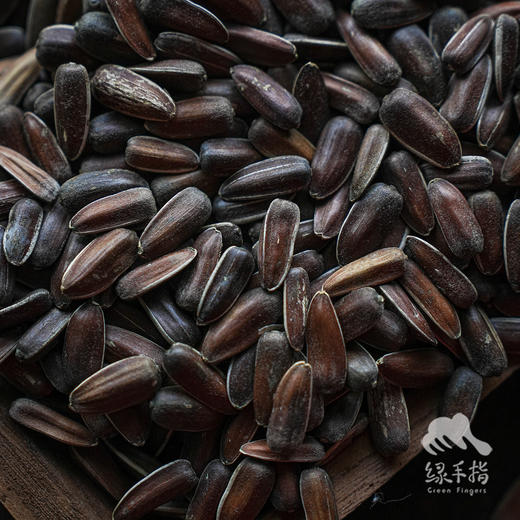 生态红皮瓜子 | 合作生产 *Eco-Red skinned melon seeds | Coproduction 商品图2