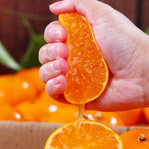 【宜昌助农馆】清甜皮薄沃柑  新鲜时令蔬果中大果 年货柑橘 商品图1