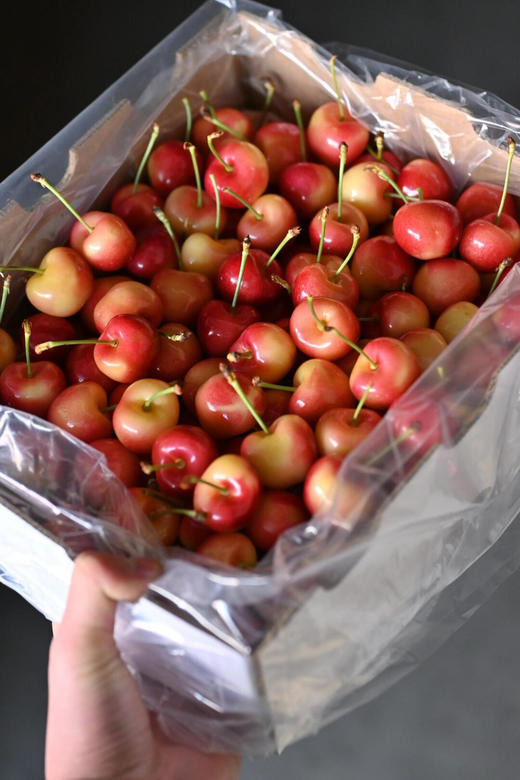 斯凯拉雷金车，真正的嘎嘣脆，浓郁 商品图5