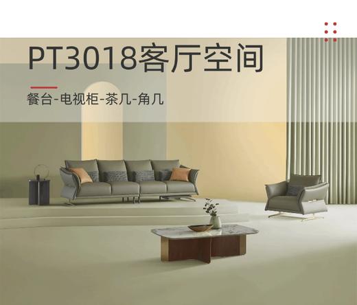 PT3018客厅空间系列，餐台-电视柜-茶几-角几 商品图0