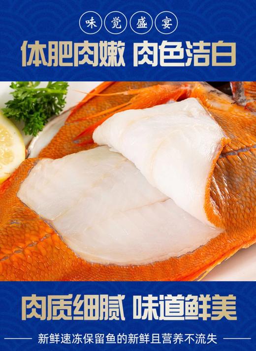 生鲜礼盒【长寿鱼礼盒】一盒一条约2000–2500克 年年有鱼海鲜礼盒 深海海鱼 好寓好 刺少 青岛顺丰/京东发货 {冷冻生鲜请及时签收} 商品图6