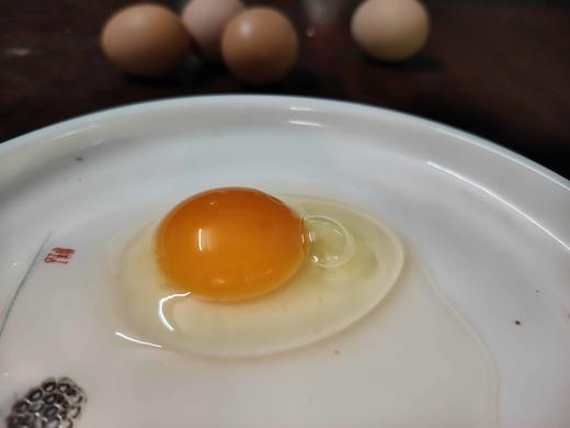 油鸡蛋 商品图0