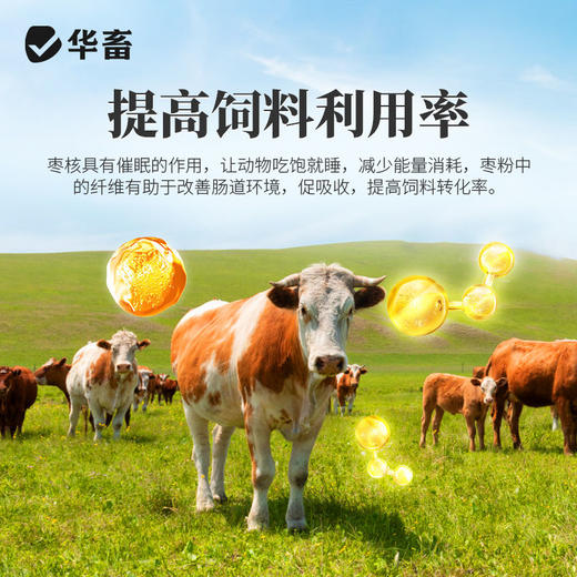 【积分兑换】华畜兽用开胃枣粉维生素开胃健脾促食猪牛羊催肥调理肠胃促生长 商品图3