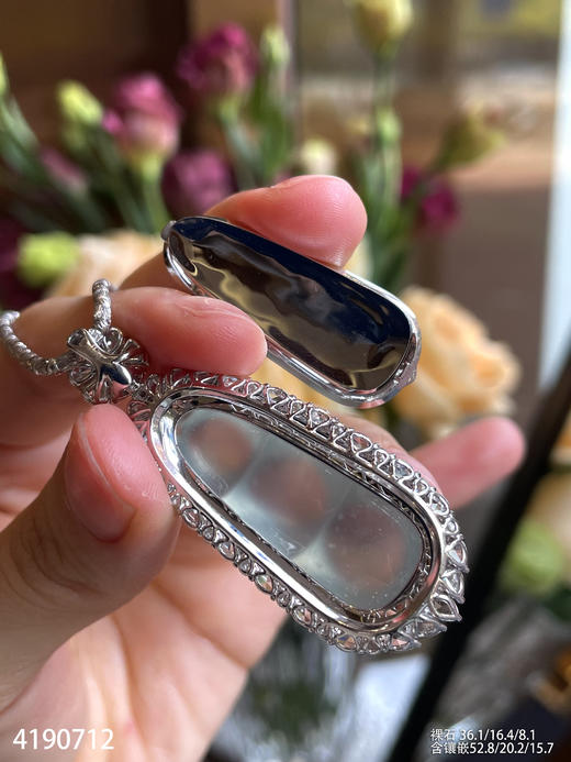 玻璃种木那料福豆吊坠【4190712】具体价格微信咨询 商品图6