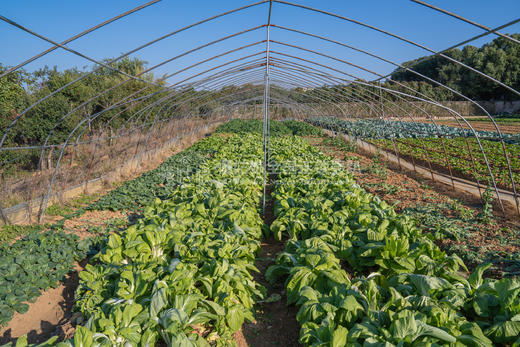 鄂州慢姑娘枸骨生态园轰趴馆 商品图9