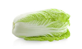 自产/有机方式种植  打霜 大白菜