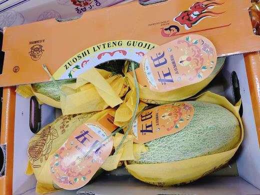 左氏甜脆蜜瓜一箱 商品图0