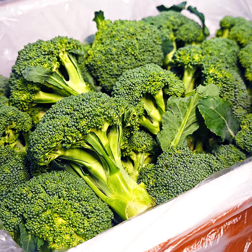 『湖北小西蓝花』宝宝西兰花，新鲜采摘，脆嫩爽口，花蕾紧凑，可食率高，个头袖珍，不用改刀掰碎 商品图9