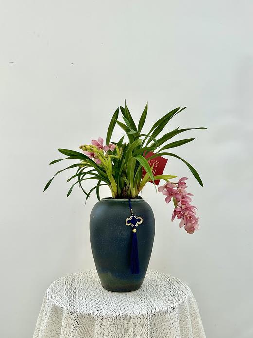 大花惠兰/ZWT680 商品图0