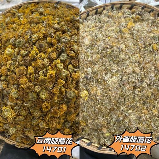 旋覆花 旋复花 商品图0