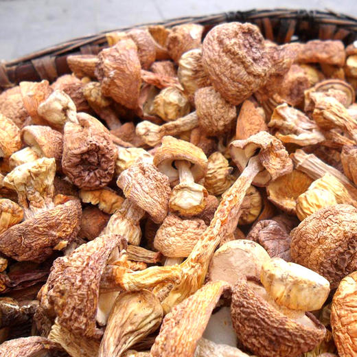 姬松茸—广西隆林姬松茸250g/袋 商品图2