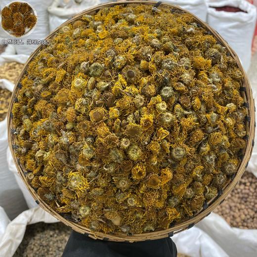 旋覆花 旋复花 商品图1