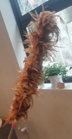 鸡毛掸子1*1个 商品图0