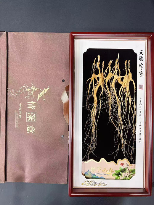 【下单后48小时发货】吉林 长白山 林下山参20g/50g 商品图0