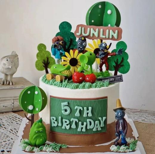 植物大战僵尸（下单备注年龄名字） 商品图0