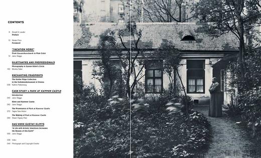 Klimt Landscapes / 克里姆特的风景画 商品图1