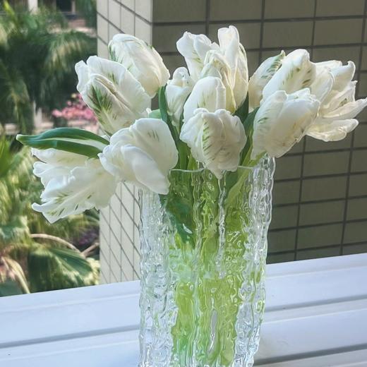 白色鹦鹉嘴郁金香 5枝｜新客福利 商品图2