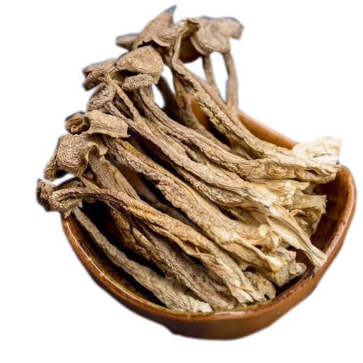 鹿茸菇—广西隆林鹿茸菇250g/袋 商品图2