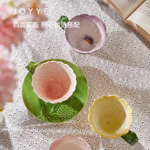 卓艺JOYYE 商品图2