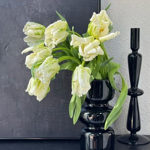 白色鹦鹉嘴郁金香 5枝｜新客福利 商品图4