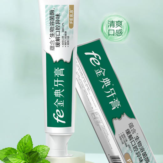 fe金典牙医生物酶干刷牙膏 清新口气 90g（果味薄荷 ）9201 商品图1