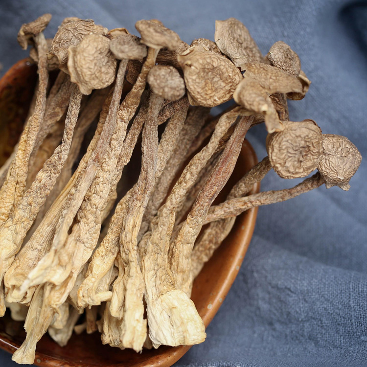 鹿茸菇—广西隆林鹿茸菇250g/袋