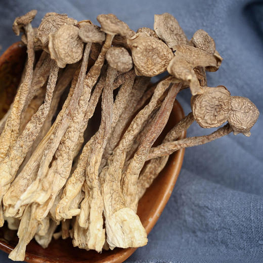 鹿茸菇—广西隆林鹿茸菇250g/袋 商品图0