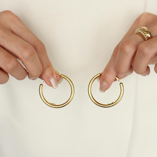 Retro Chic | 金丝耳圈&藤蔓蛇骨长链套装 商品图3