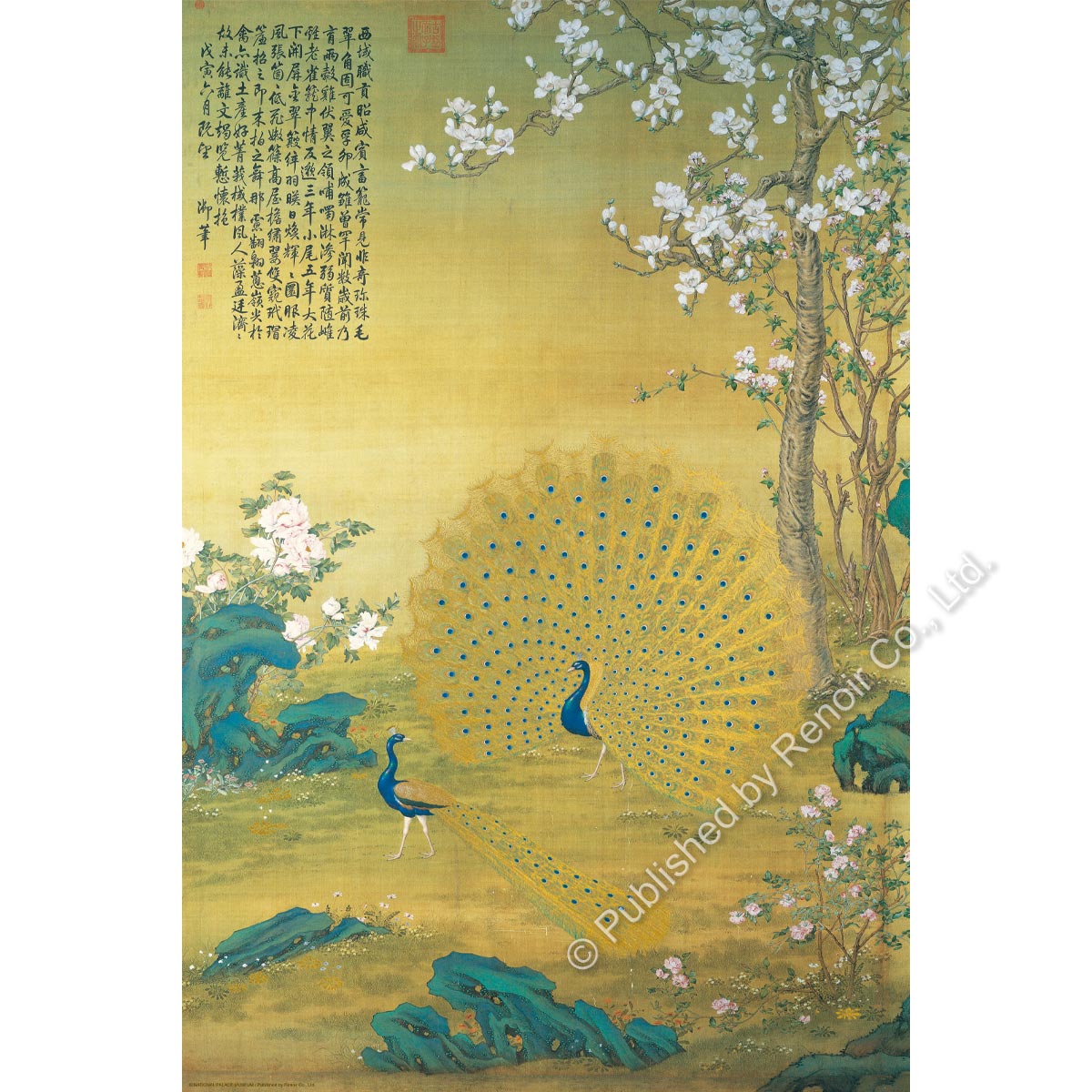 孔雀开屏/1008片