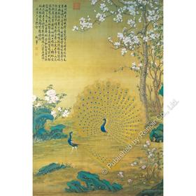 孔雀开屏/1008片