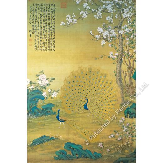 孔雀开屏/1008片 商品图0