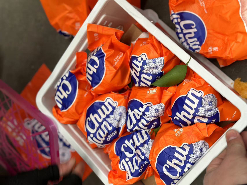 津始源春见礼盒🎁