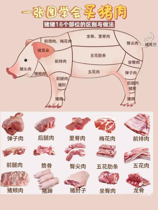 【预售】有机食蔬溜达猪肉 商品图9