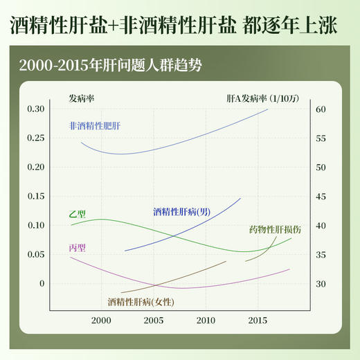 Ensonkan奶蓟草护肝胶囊牛磺酸水飞蓟净肝片姜黄朝鲜蓟养肝应酬熬夜保健品 商品图2