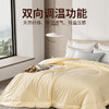 雅芳婷抑菌防螨纯桑蚕丝冬被冬季被子冬天蚕丝被保暖被芯连芯扣 商品缩略图1
