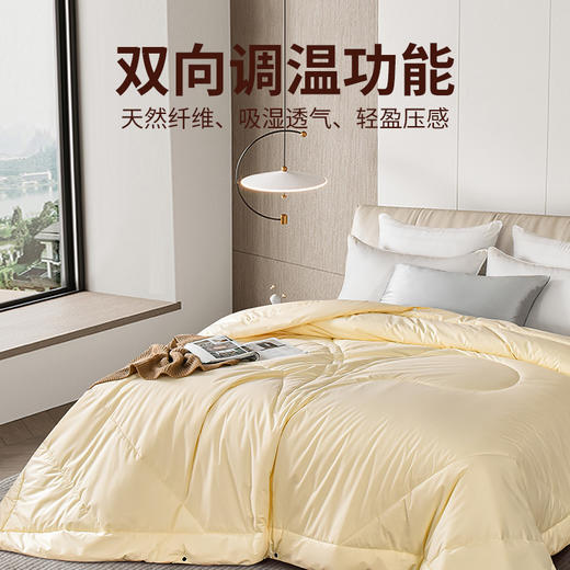 雅芳婷抑菌防螨纯桑蚕丝冬被冬季被子冬天蚕丝被保暖被芯连芯扣 商品图1