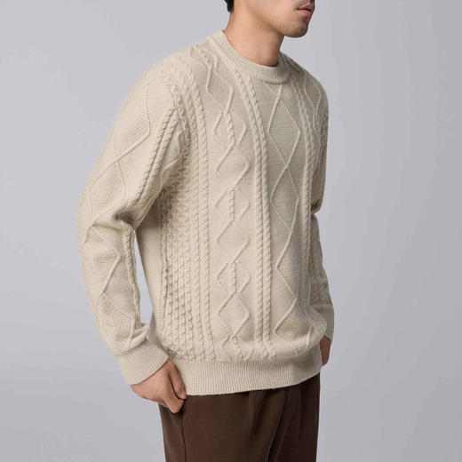 墨麦客男装复古圆领针织衫男士2024冬季新款绞花休闲套头毛衣男潮 商品图2