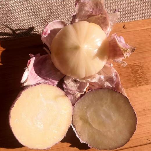 【果蔬精选】云南大理紫皮独头鲜蒜 蒜中贵族 味浓辛辣 大胖子 激发出食材原始的味道 现挖现发 商品图1