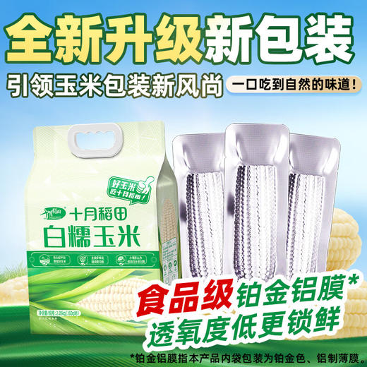 【十月稻田】白糯玉米段2.08kg/箱 商品图13
