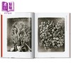 【中商原版】Karl Blossfeldt. 40Th Ed. 进口艺术 卡尔布劳斯菲尔德 Taschen 商品缩略图3