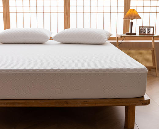 【轻奢高品质专利面料】A类专利防水床笠 商品图0