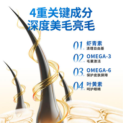 深海鱼油猫咪用狗狗犬用防掉毛宠物专用卵磷脂美毛220g 商品图4