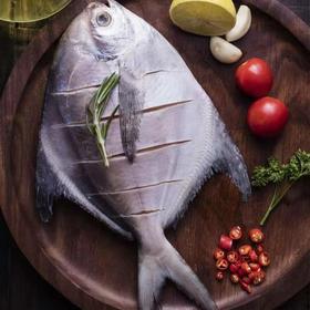 #顺丰冷链【渔趣多】国产新鲜银鲳鱼 5斤特大号鲜活速冻海鱼 白鲳鱼